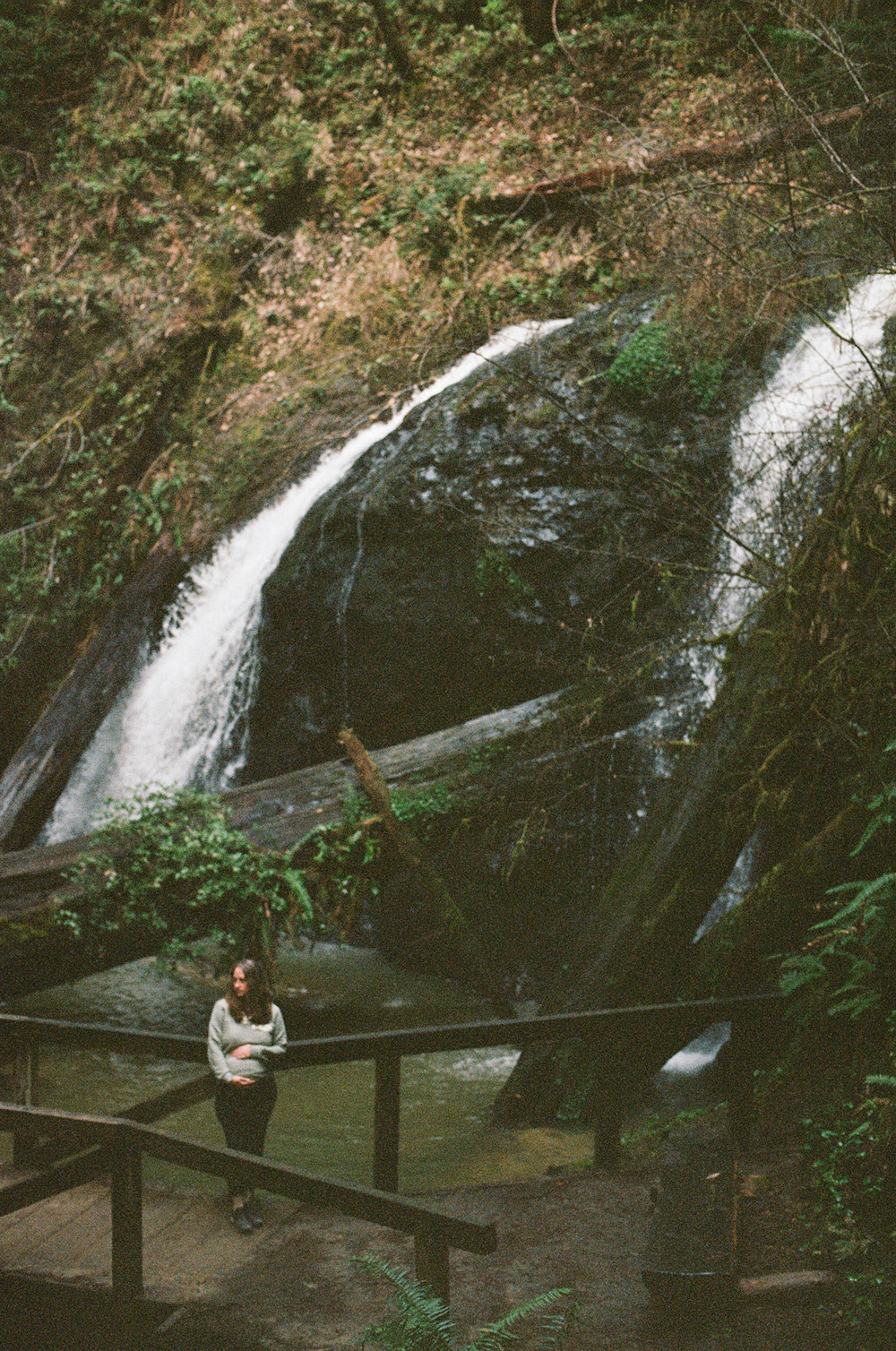 Hiking to the Russian Gulch Fern Canyon waterfall in Mendocino at 6 months pregnant.